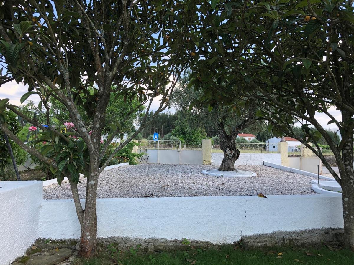 A Casa Amarela Apartment Pinheiro de Coja Luaran gambar